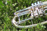 Tenorhorn